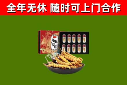 象山回收冬虫夏草价格