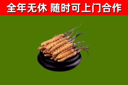 象山烟酒回收冬虫夏草.jpg
